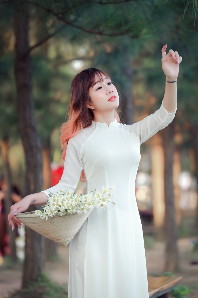 古风牡丹合集